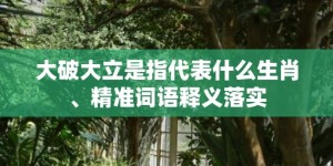 大破大立是指代表什么生肖、精准词语释义落实