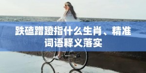 跌磕蹭蹬指什么生肖、精准词语释义落实