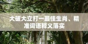 大破大立打一最佳生肖、精准词语释义落实