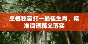 单根独苗打一最佳生肖、精准词语释义落实