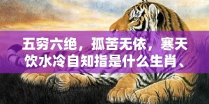 五穷六绝，孤苦无依，寒天饮水冷自知指是什么生肖、精准词语释义落实