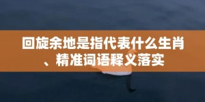 回旋余地是指代表什么生肖、精准词语释义落实