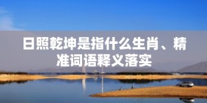 日照乾坤是指什么生肖、精准词语释义落实