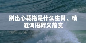 别出心裁指是什么生肖、精准词语释义落实