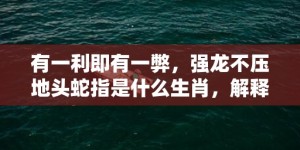 有一利即有一弊，强龙不压地头蛇指是什么生肖，解释成语落实揭晓