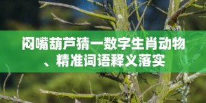 闷嘴葫芦猜一数字生肖动物、精准词语释义落实