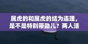 属虎的和属虎的结为连理，是不是特别带劲儿？两人活力满满，会不会超幸福？