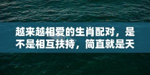 越来越相爱的生肖配对，是不是相互扶持，简直就是天生一对？