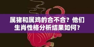 属猪和属鸡的合不合？他们生肖性格分析结果如何？