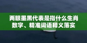 两眼墨黑代表是指什么生肖数字、精准词语释义落实