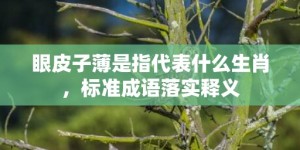 眼皮子薄是指代表什么生肖，标准成语落实释义