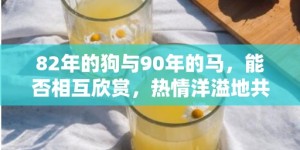 82年的狗与90年的马，能否相互欣赏，热情洋溢地共度人生？