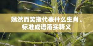 嫣然而笑指代表什么生肖、标准成语落实释义