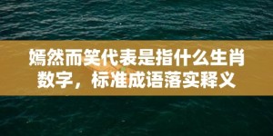 嫣然而笑代表是指什么生肖数字，标准成语落实释义