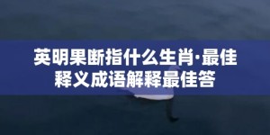 英明果断指什么生肖·最佳释义成语解释最佳答