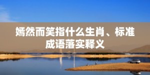 嫣然而笑指什么生肖、标准成语落实释义