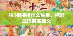 舳舮相接指什么生肖，标准成语落实释义