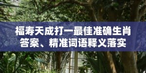 福寿天成打一最佳准确生肖答案、精准词语释义落实