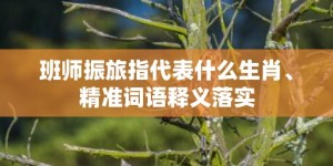 班师振旅指代表什么生肖、精准词语释义落实