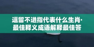 逗留不进指代表什么生肖·最佳释义成语解释最佳答