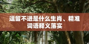 逗留不进是什么生肖、精准词语释义落实