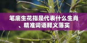 笔底生花指是代表什么生肖、精准词语释义落实