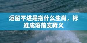 逗留不进是指什么生肖，标准成语落实释义