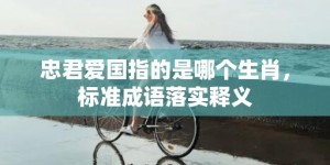 忠君爱国指的是哪个生肖，标准成语落实释义