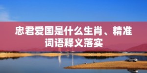 忠君爱国是什么生肖、精准词语释义落实