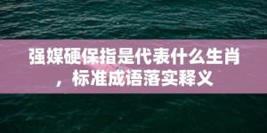 强媒硬保指是代表什么生肖，标准成语落实释义