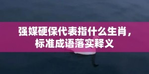 强媒硬保代表指什么生肖，标准成语落实释义