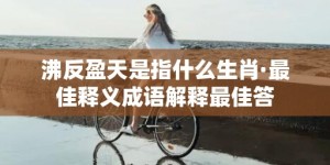 沸反盈天是指什么生肖·最佳释义成语解释最佳答