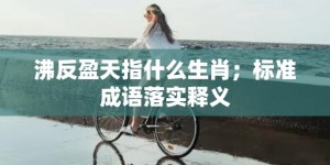 沸反盈天指什么生肖；标准成语落实释义