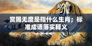 赏赐无度是指什么生肖；标准成语落实释义