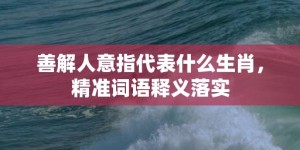 善解人意指代表什么生肖，精准词语释义落实