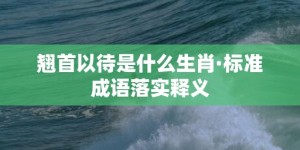 翘首以待是什么生肖·标准成语落实释义