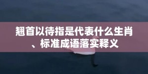 翘首以待指是代表什么生肖、标准成语落实释义