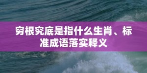 穷根究底是指什么生肖、标准成语落实释义