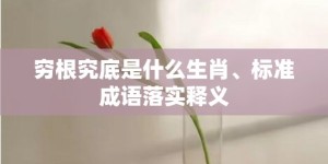 穷根究底是什么生肖、标准成语落实释义