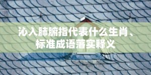 沁入肺腑指代表什么生肖、标准成语落实释义