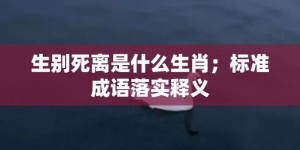 生别死离是什么生肖；标准成语落实释义