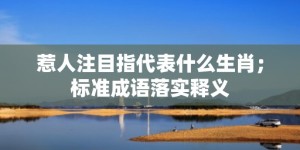 惹人注目指代表什么生肖；标准成语落实释义