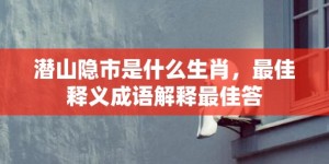 潜山隐市是什么生肖，最佳释义成语解释最佳答