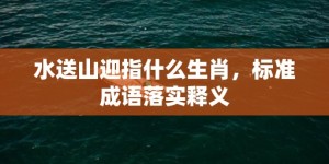 水送山迎指什么生肖，标准成语落实释义