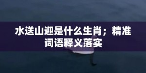 水送山迎是什么生肖；精准词语释义落实