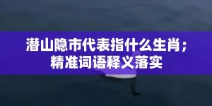 潜山隐市代表指什么生肖；精准词语释义落实