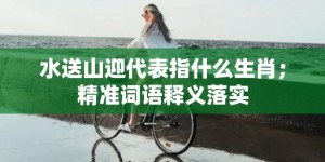 水送山迎代表指什么生肖；精准词语释义落实