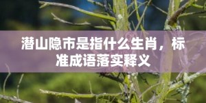 潜山隐市是指什么生肖，标准成语落实释义