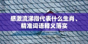 感激流涕指代表什么生肖、精准词语释义落实