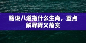 瞎说八道指什么生肖，重点解释释义落实